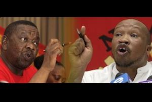 Picture: Blade Nzimande/SACP and Irvin Jim/Numsa