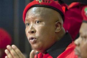 Picture: Leader of the Economic Freedom Fighters, Julius Malema, courtesy EFF Supporter Website 