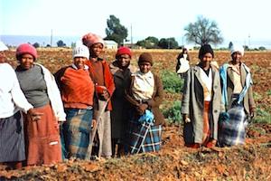 Picture: Farmworkers courtesy John via Wikimedia Commons