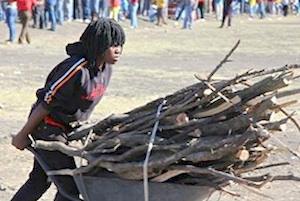 Picture: A woman collecting firewood in Marikana courtesy Gillian Schutte